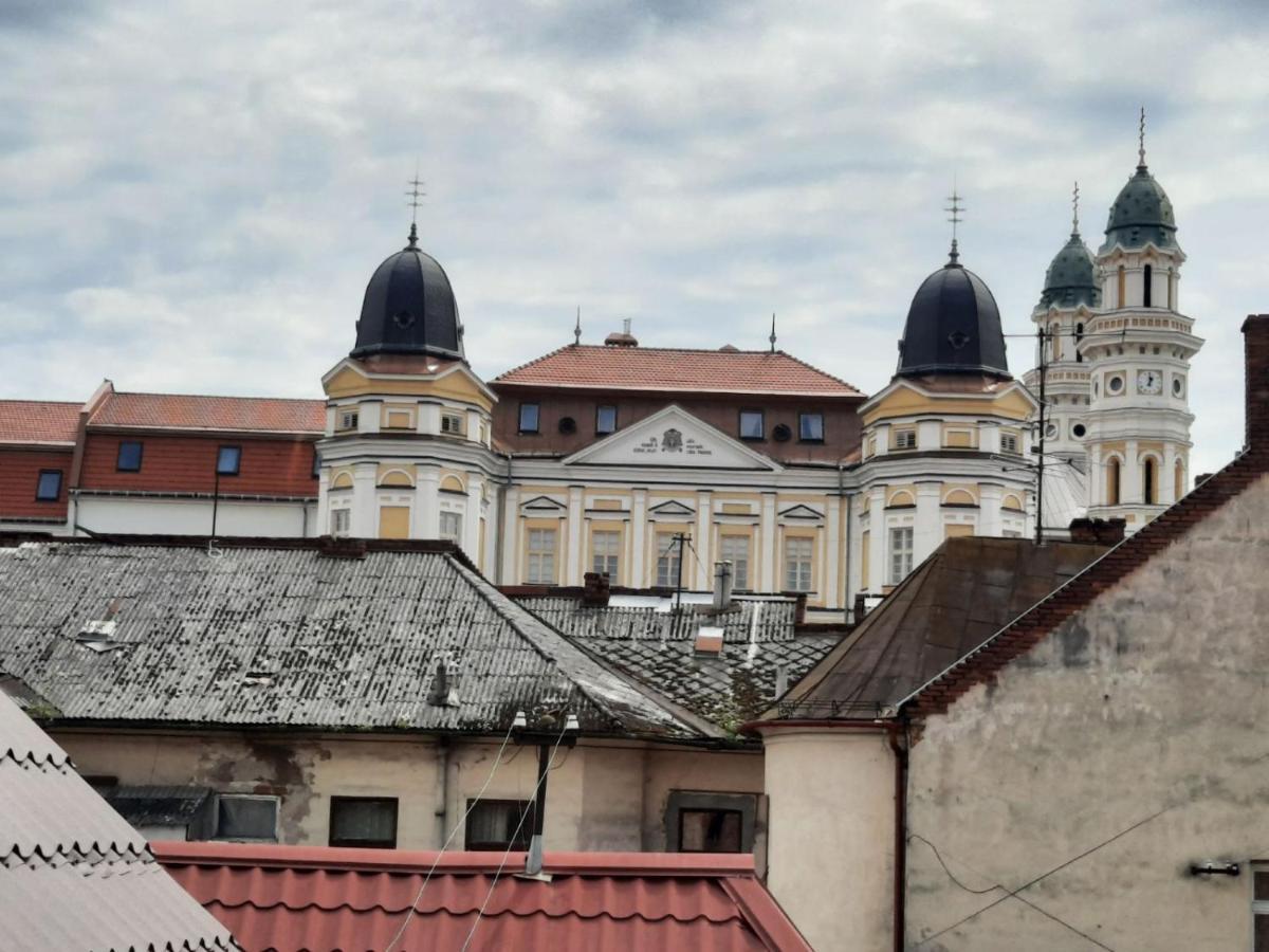 Vip Apartment On Duhnovicha Street .Free Parking. Użhorod Zewnętrze zdjęcie